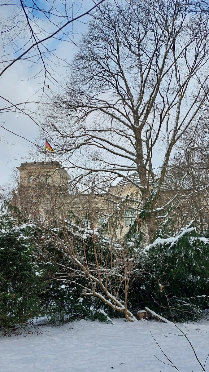 Travellimg. Delighted to see woodpecker and avred squirrel in tiergarten park, berlin. No photo sorry.