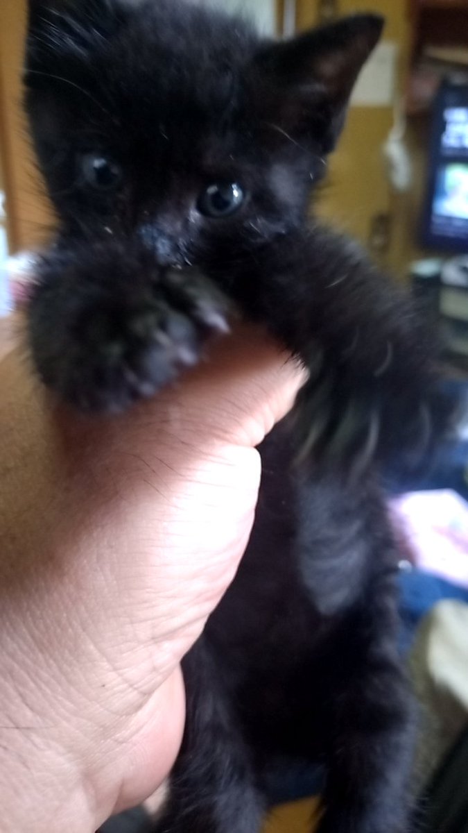 ロケットミサイル兵 tweet media