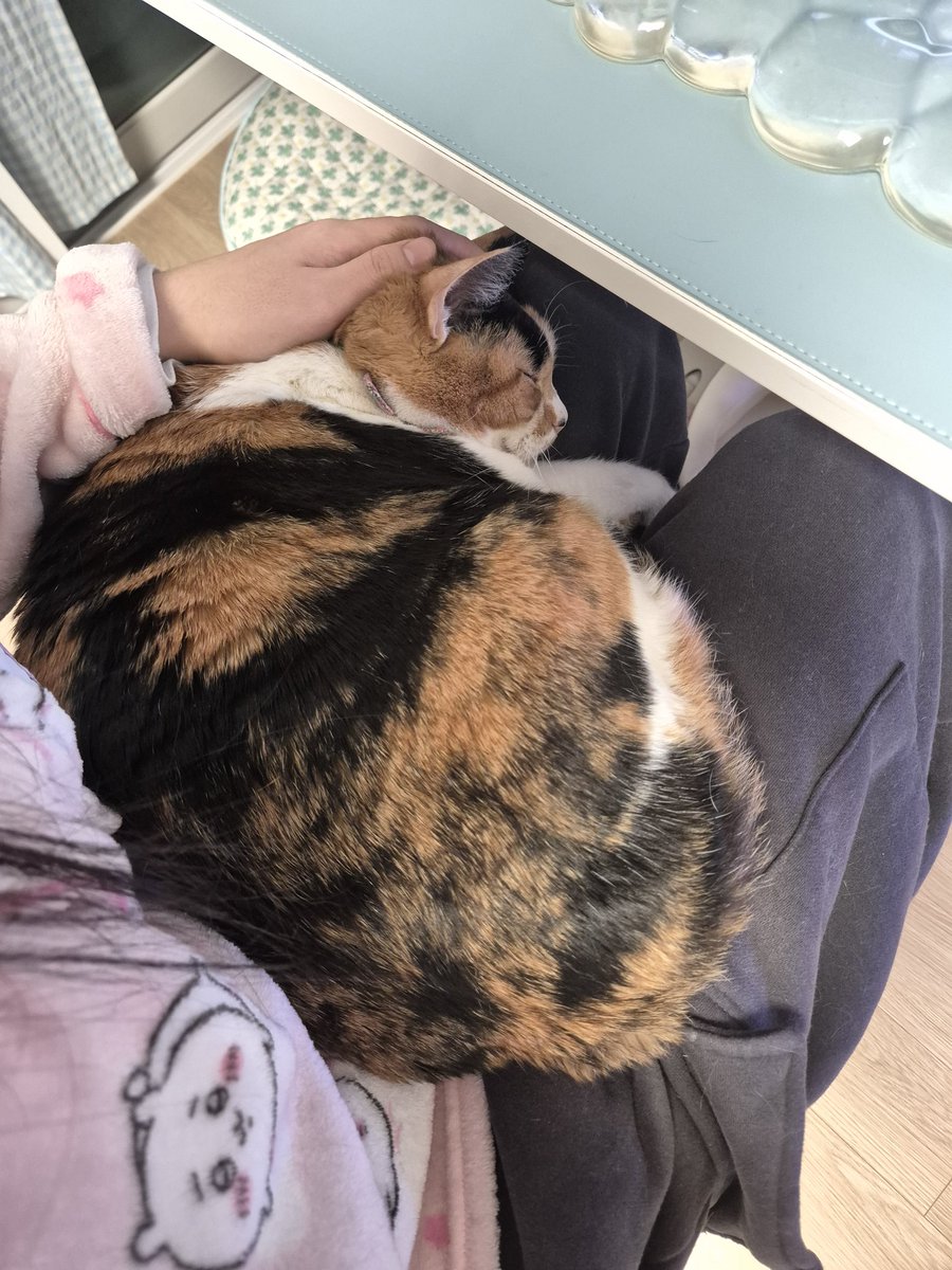 yeneex2's tweet image. 잔다
나도자야하는데
어쩌지