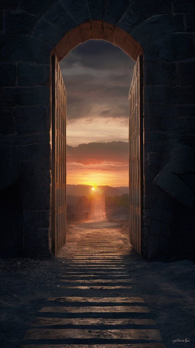 Jack Moses tweet media