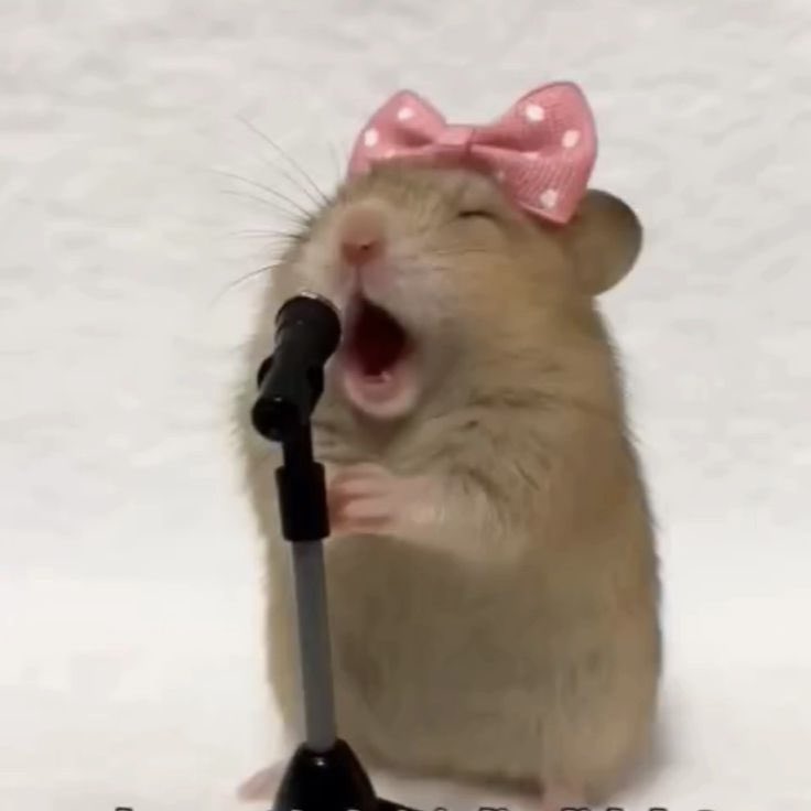 osaki kam tweet media