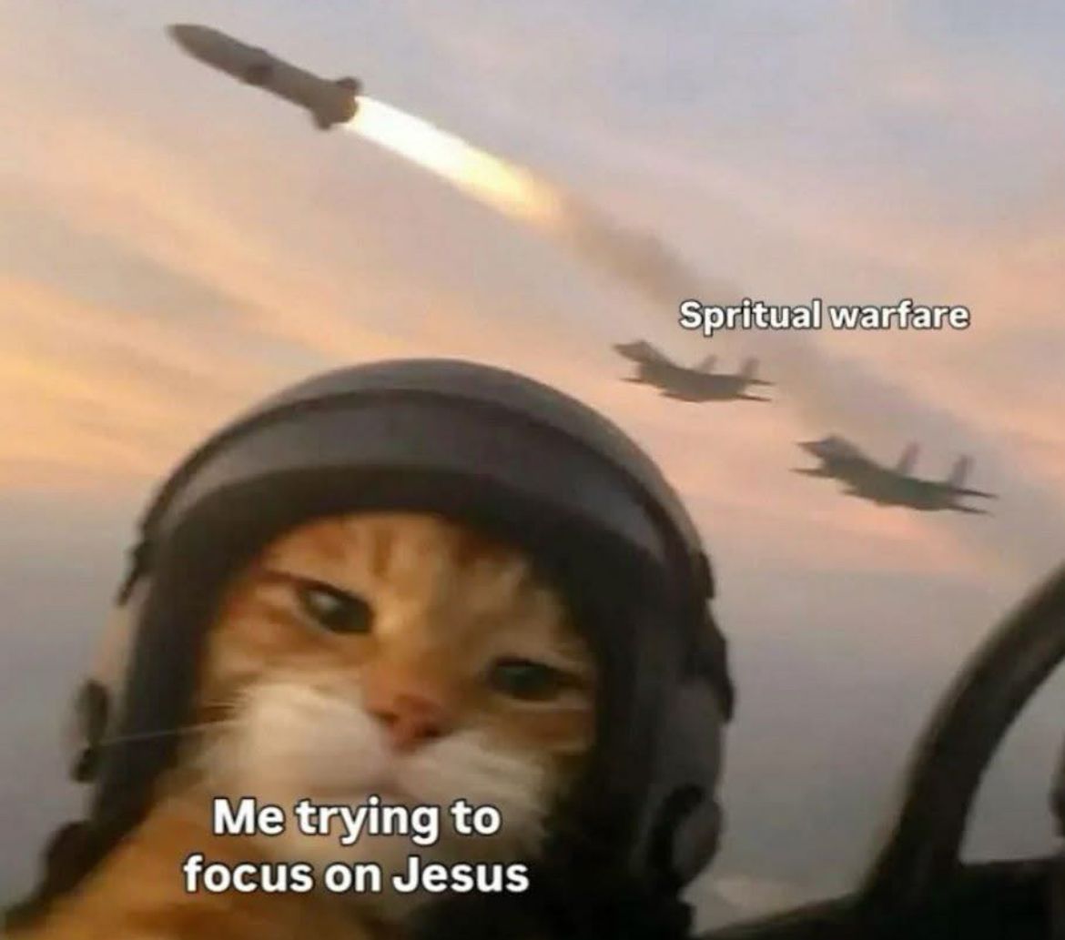 holyhumorr's tweet photo. https://t.co/MU2iJoMRl3