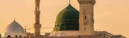 امبر قریشی tweet media