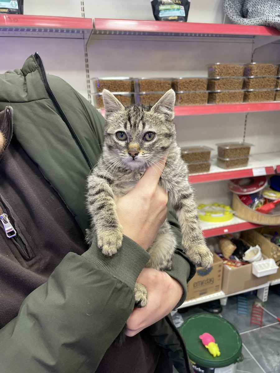 İlanı paylaştınız ama bir kişi dışında kimse sormadı.. soran da cevap vermedi bi anda… 

YUVA ARAMAYA DEVAM EDİYORUZ
İSTANBUL/BAYRAMPAŞA