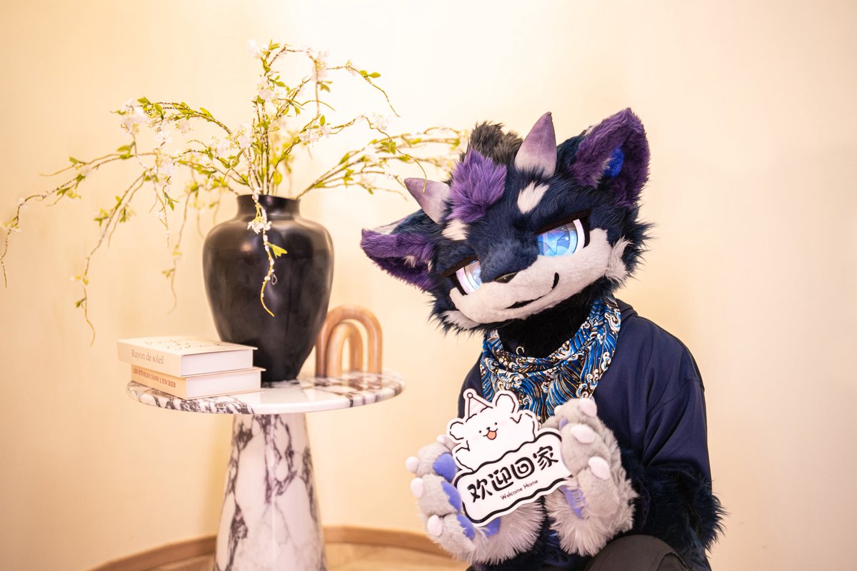 星海StO tweet media