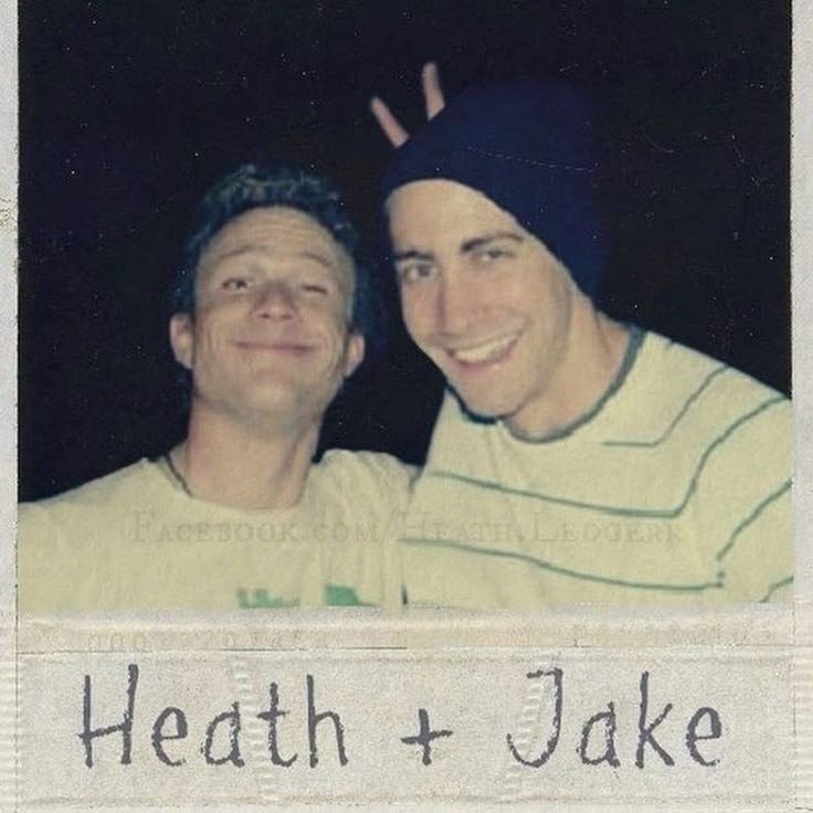 acervo brokeback mountain tweet media