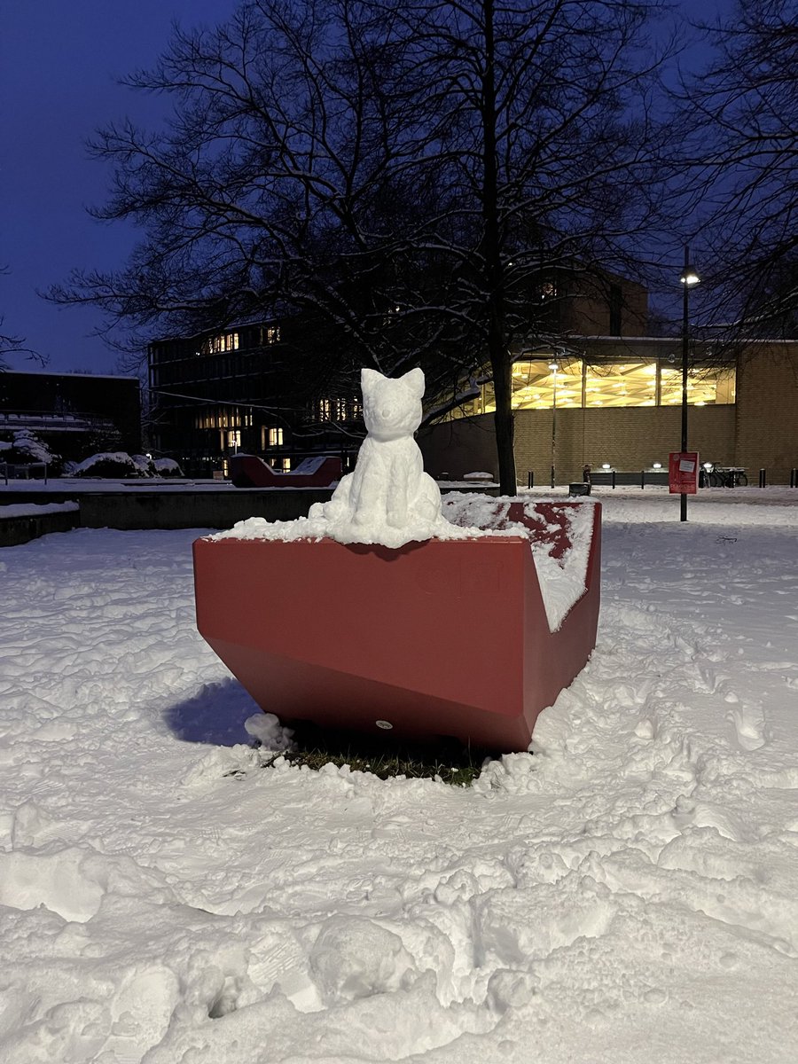 ehsan_x6's tweet image. 😼