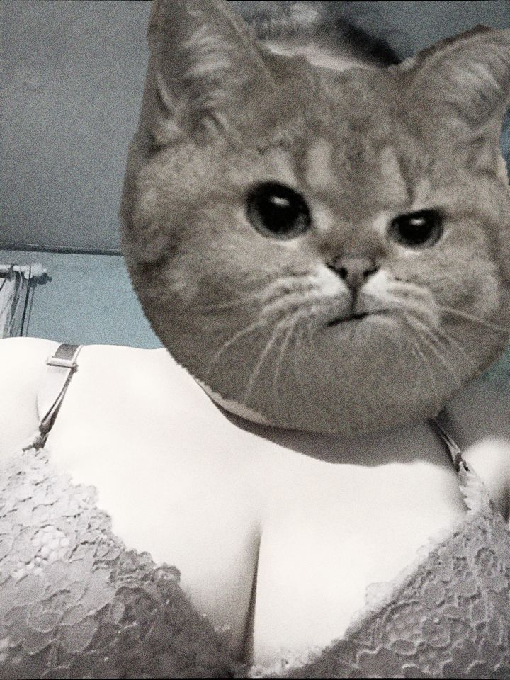 🐷ต้าวอ้วงง🐷 tweet media