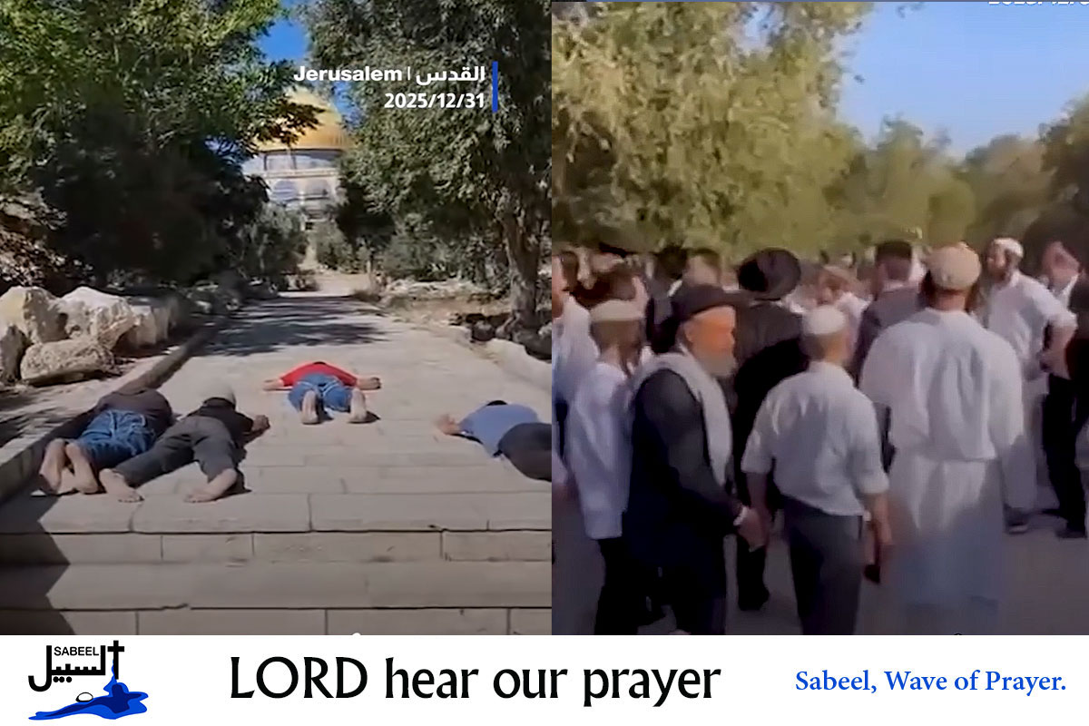 Last week, 201 Jewish extremists stormed the Al Aqsa...
sabeel.org/read-more-2670/