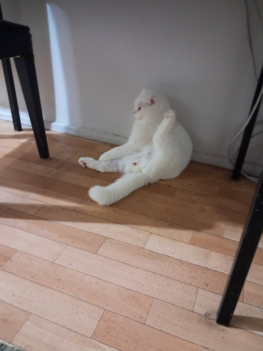 Napiyorsun Casper😀😀