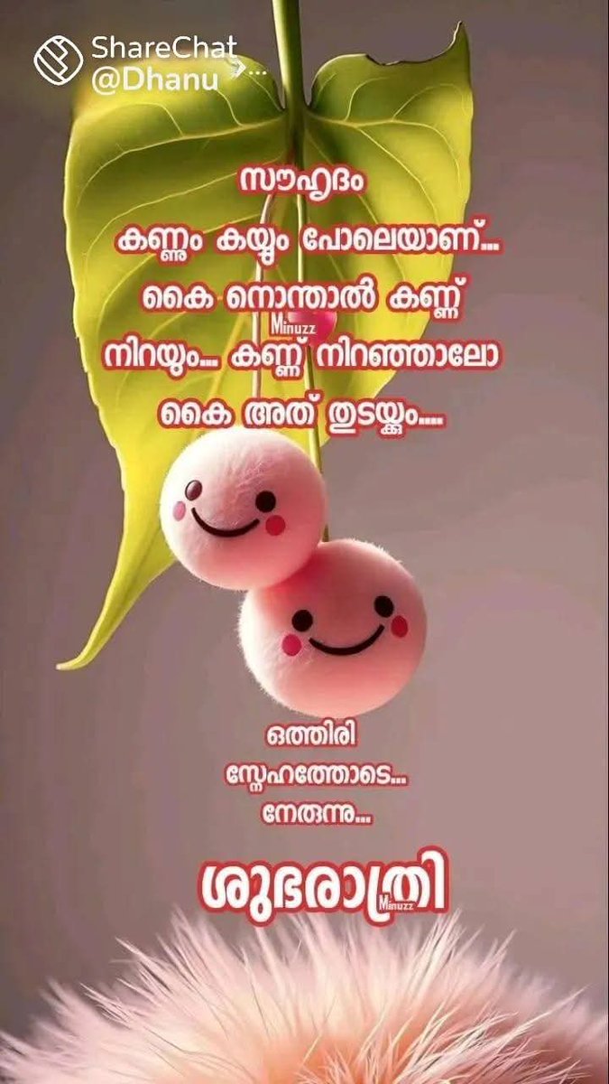 എന്റെ ഗുഡ് നൈറ്റ്‌ ❤️