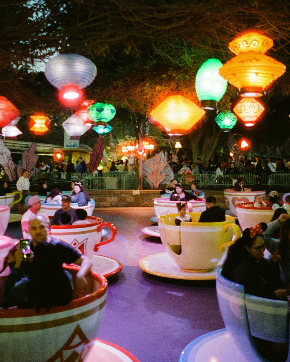 Jake Chamseddine tweet media