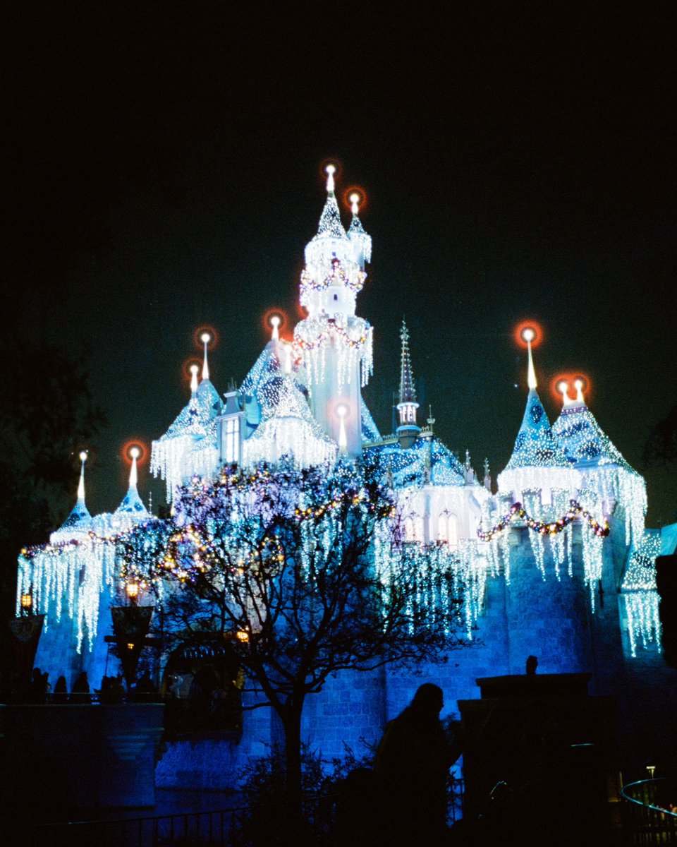 Jake Chamseddine tweet media