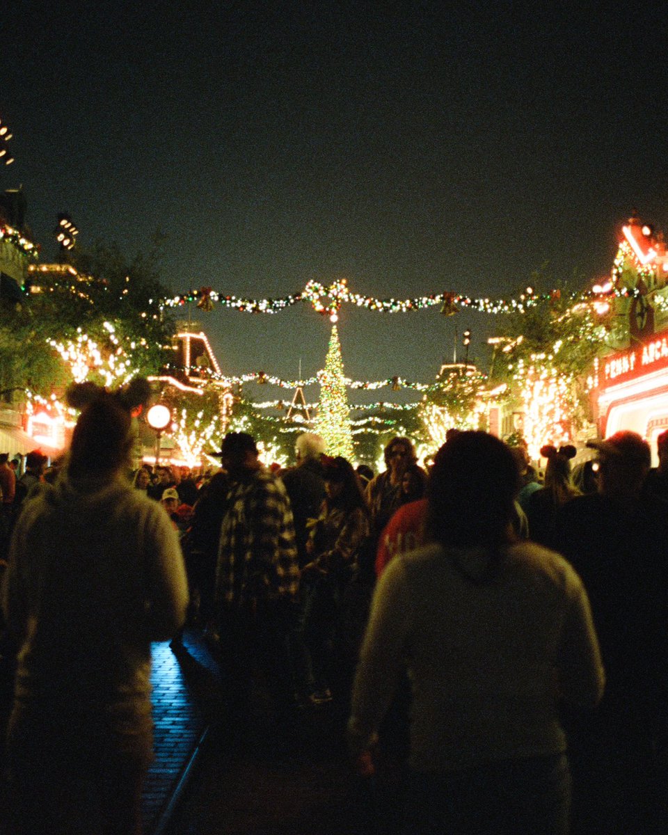 Jake Chamseddine tweet media