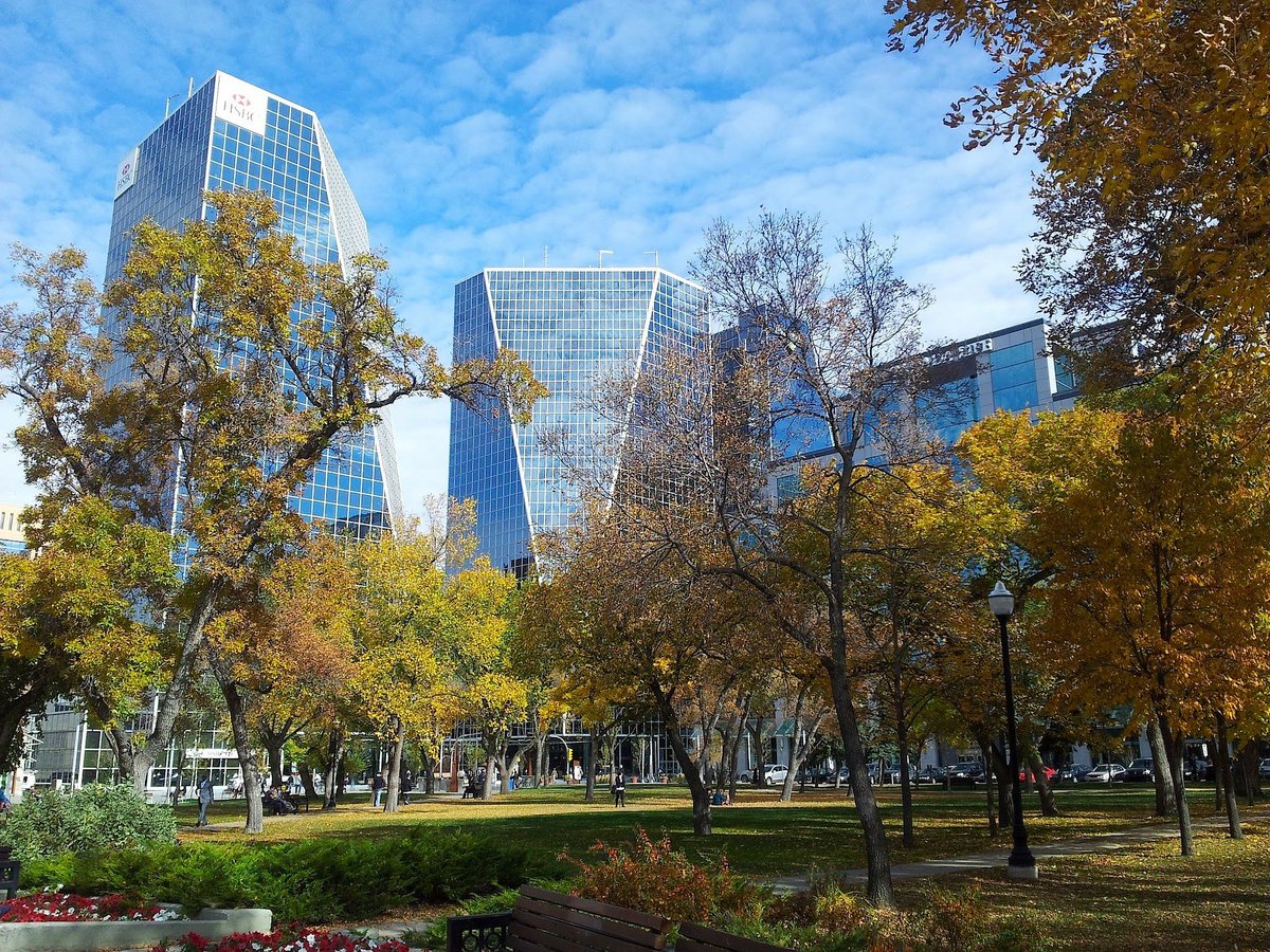 Tree Canada tweet media