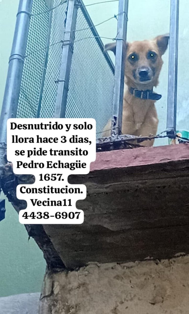 Rt
Denuncien vecinos 
Llamamos al 911
Quédense en la puerta a esperar el movil