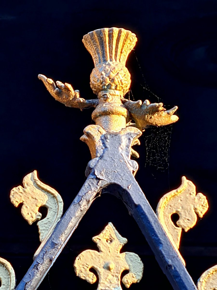 This Is My Glasgow tweet media