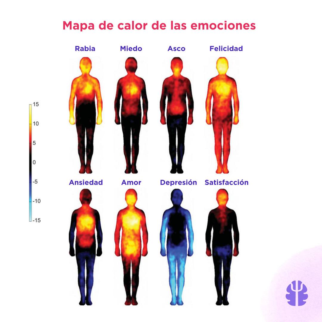 psicologiamente's tweet image. 🌡️ ¿Sabías que la ciencia permite ver tus emociones?  Estas representaciones visuales, basadas en estudios termográficos, permiten correlacionar la distribución de la temperatura cutánea con estados emocionales. 

#Neurociencia #Psicología #Ciencia #Emociones #Termografia