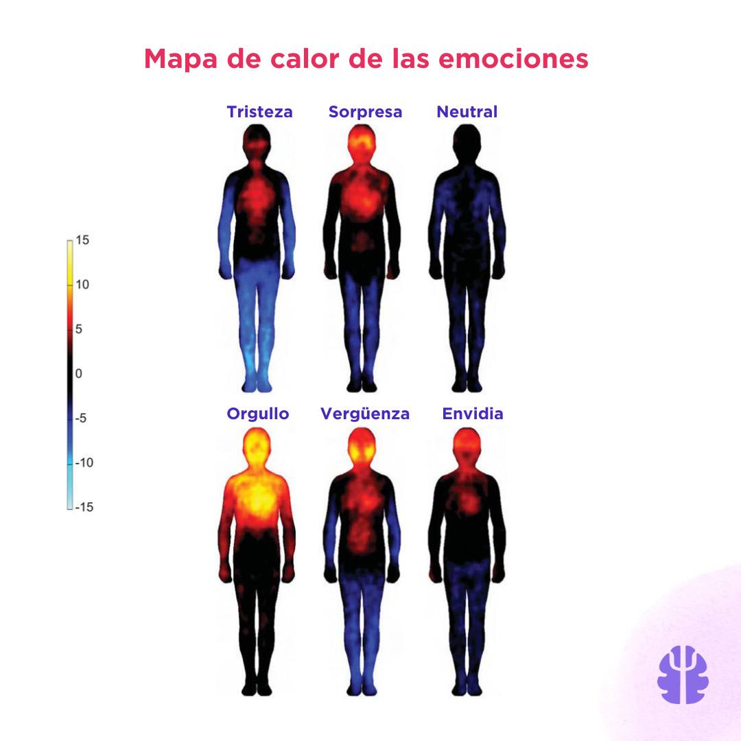 psicologiamente's tweet image. 🌡️ ¿Sabías que la ciencia permite ver tus emociones?  Estas representaciones visuales, basadas en estudios termográficos, permiten correlacionar la distribución de la temperatura cutánea con estados emocionales. 

#Neurociencia #Psicología #Ciencia #Emociones #Termografia