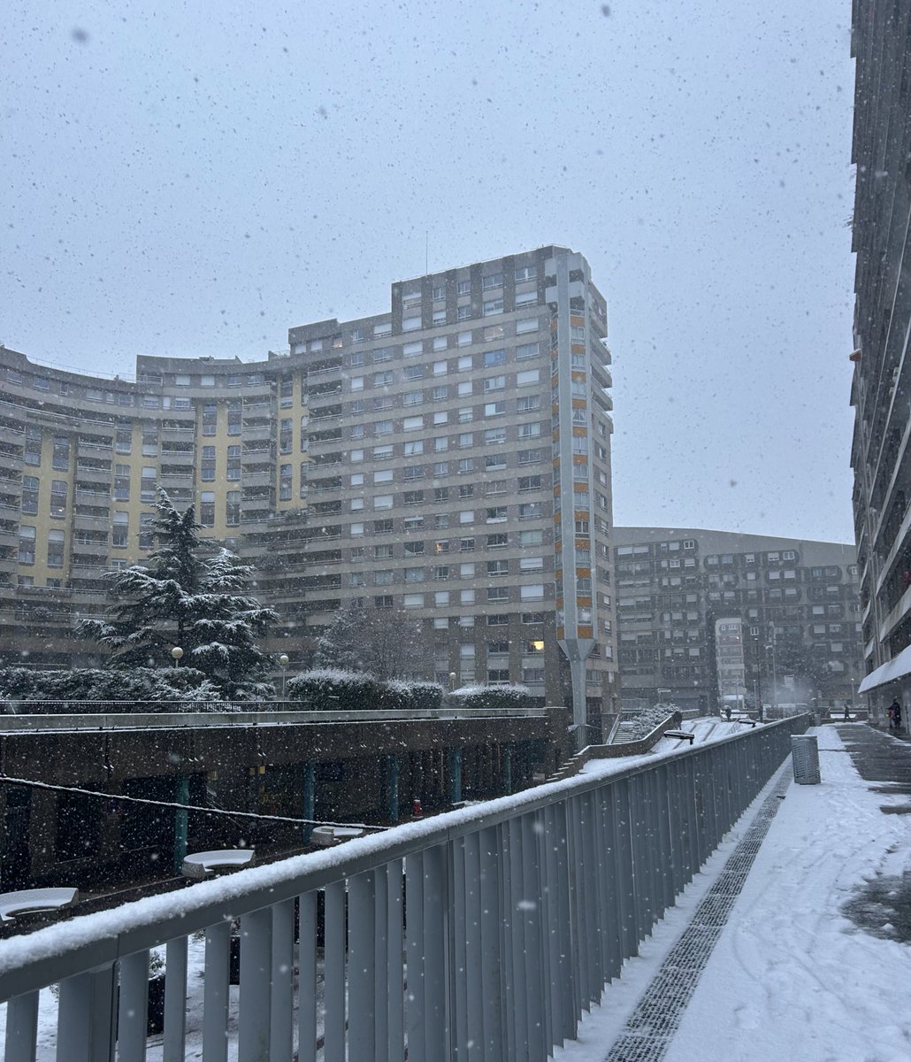 MinaGaze's tweet photo. ❄️ https://t.co/BDsLiW4M0S