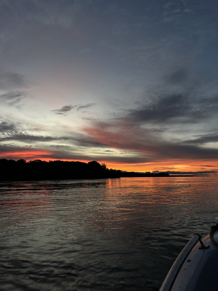 🧡 los planes que SI ➡️❤️‍🩹