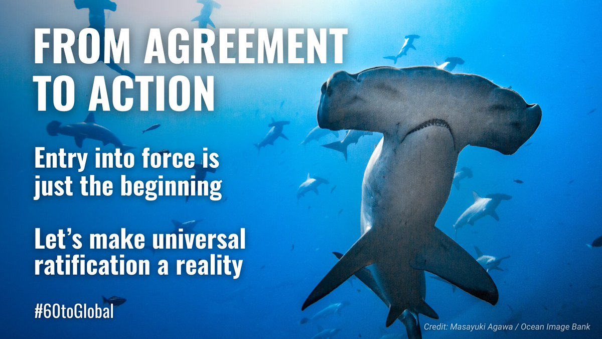 High Seas Alliance tweet media