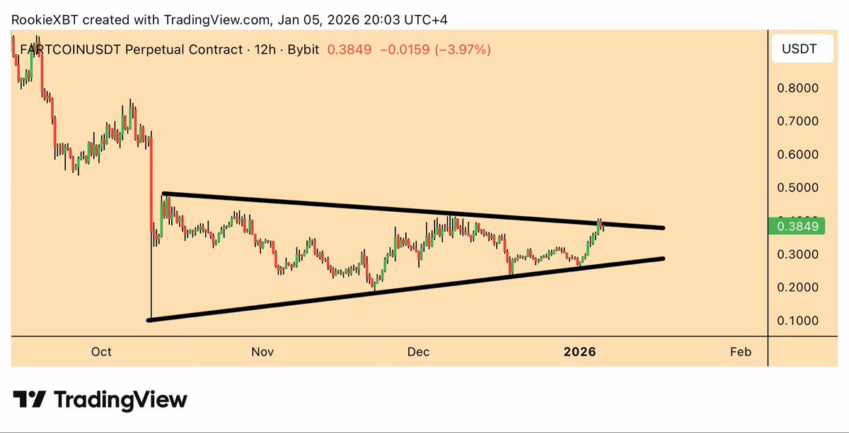 RookieXBT 🧲 tweet media