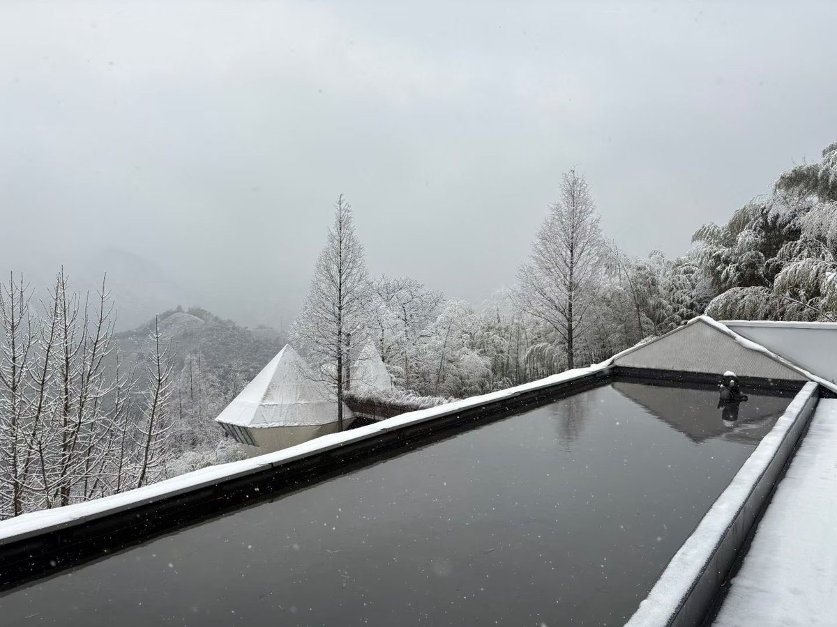 cat_ntrs's tweet photo. ❄️ https://t.co/UIqiXqZpUd