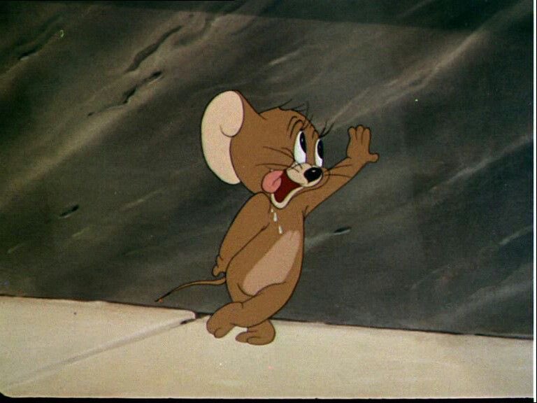 Younjung. tweet media