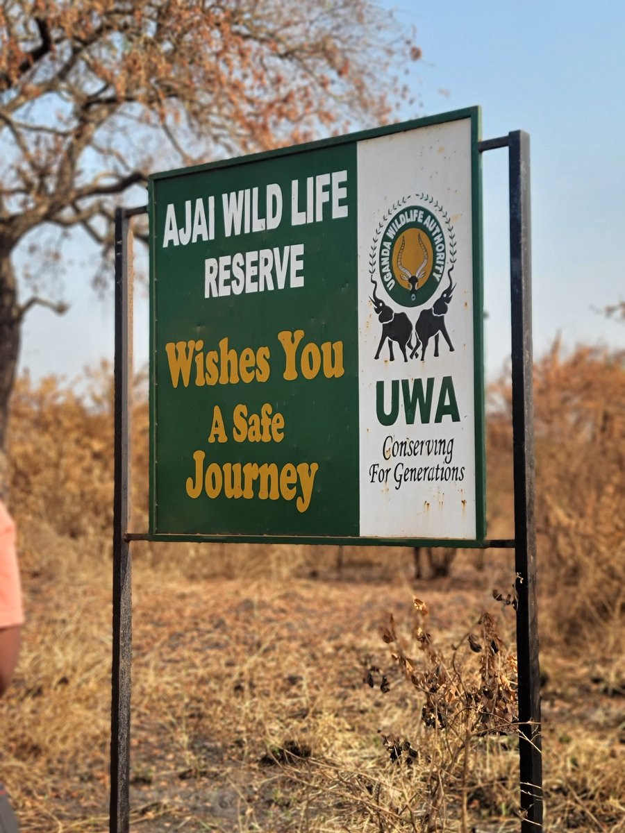 Jannie_jennah's tweet photo. From midnight to dusk... I have been on the road with my travel buddies @WasswaEmma_ and @Uganda_Expozed. Not forgetting the king of the visuals @OumaJr256
We were lucky to step on the ground of Ajai Wildlife Reserve in the West Nile region. Ajai is the most promising tourist destination. With lots of tourism and investment potential. It has been added to the great Murchison Falls tourism circuit
Now you know where to put your money ๐ฐ ๐ค
#VisitWestNile #RhinoConservation
