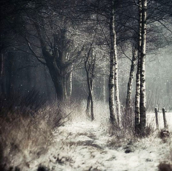 Jetzt mag der Schnee kommen
jetzt mag die Nacht
weiß werden wie vergessenes Licht
Ich will die Luft abtasten
und den Ton der Ferne erlauschen
der deine Nähe verbirgt ...

Joseph Zoderer
aus: Die Erfindung der Sehnsucht - Gedichte