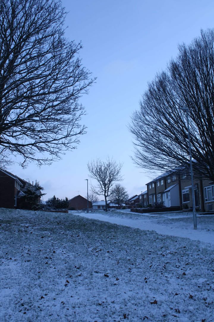 Colchester City Council tweet media