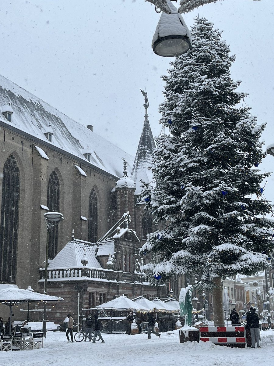 2001Xander's tweet image. kijk hoe mooi zwolle is