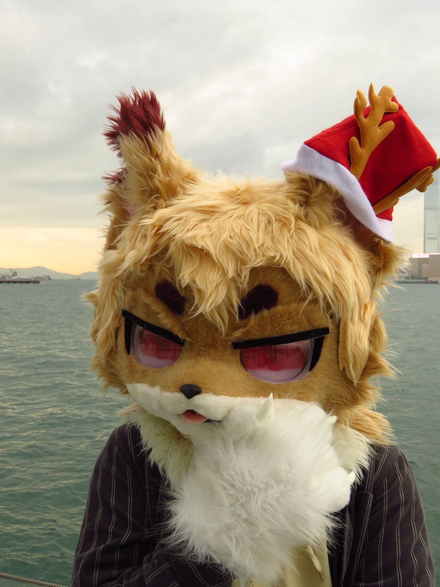 starrefu's tweet photo. meow? 

#FursuitFriday #furry #毛毛 #獸裝 https://t.co/Y95IbczIB5