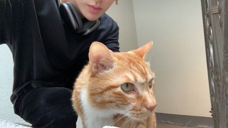 dawnsfey's tweet image. this is gonna sound crazy to new zeroses but back then ricky used to be SUPER active during ZB1's early debut days like he would chat on bubble almost every single day and he would regularly start random lives but it hasn't been the same eversince the incident with the manager 😔