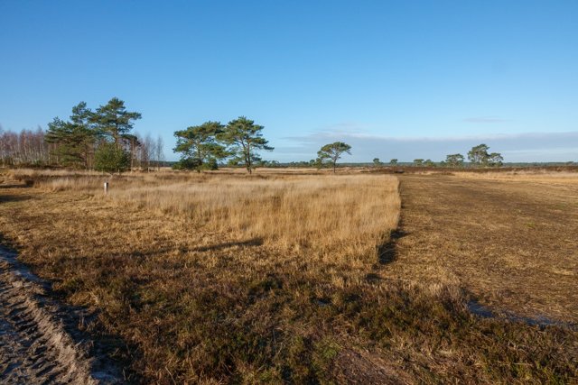 TrailExplorer tweet media