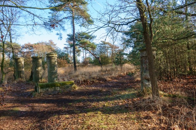 TrailExplorer tweet media