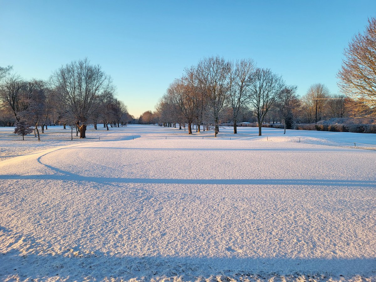 Ely City Greenkeeping Team tweet media