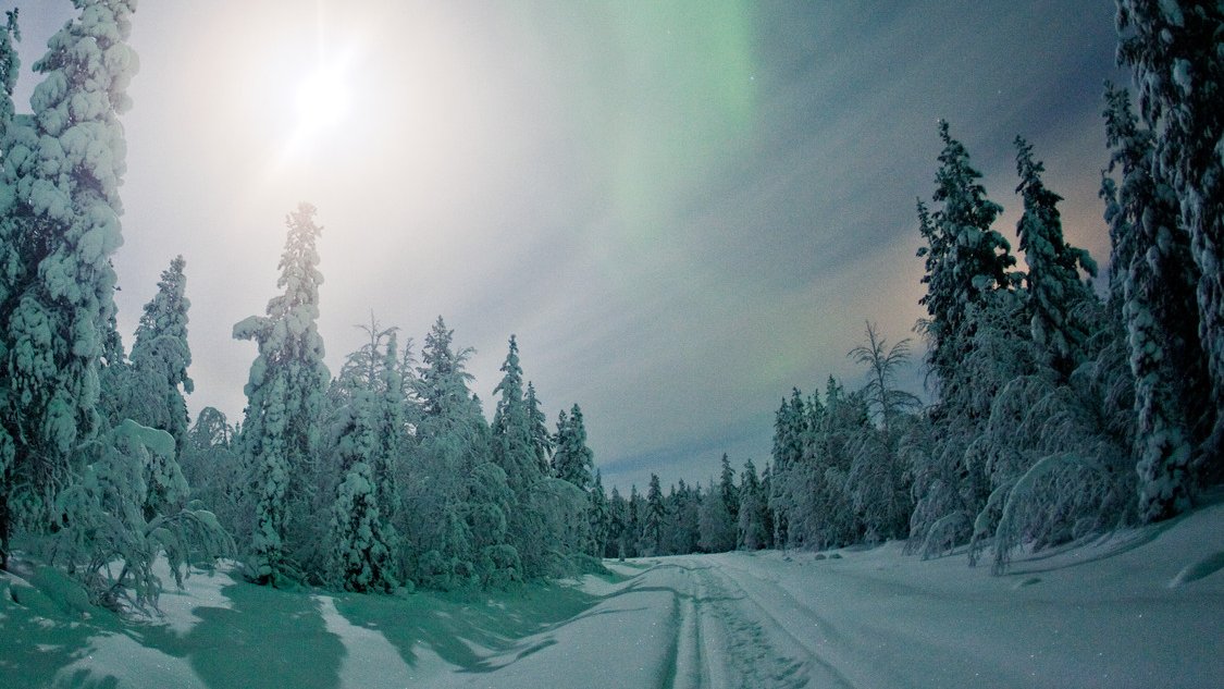 Transun's tweet image. Although Christmas and the festive period are over, the magic doesn't have to be... ❄️ There's still time to book an Arctic Spirit escape with us and turn the start of your New Year into an adventure you'll never forget. 🤍 Discover more 👉 transun.co.uk/collection/arc…