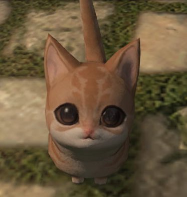 palmiecat's tweet image. Who’s alarm clocking tomorrow??