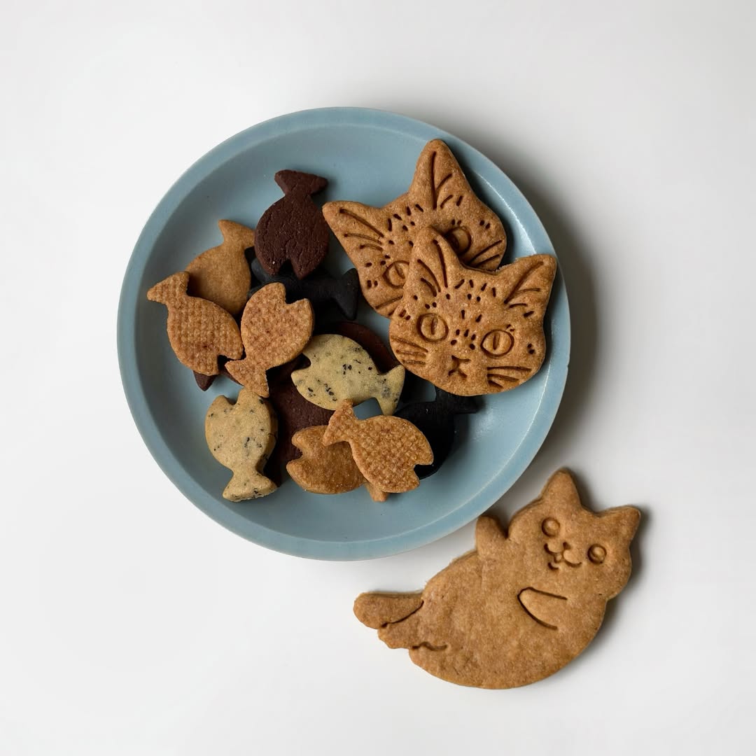 𝐆𝐊 tweet media