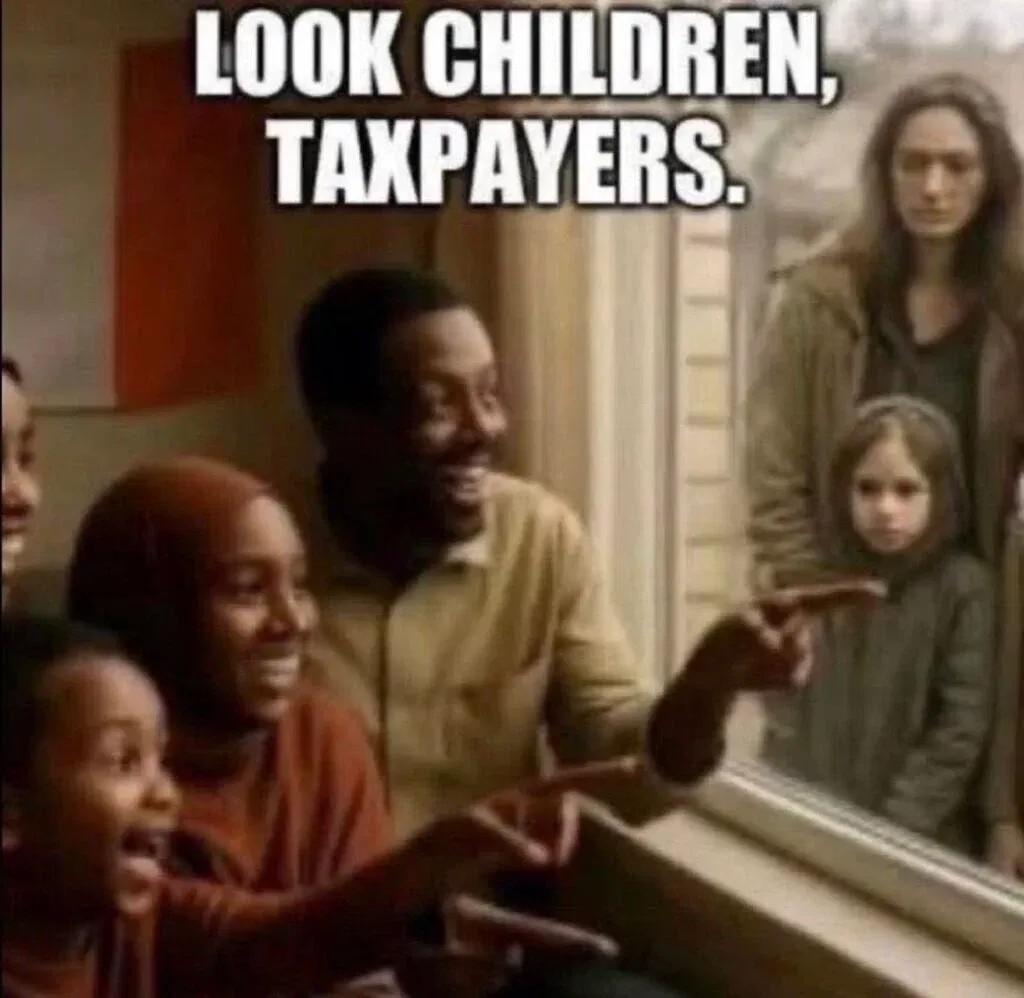 MjWillison's tweet image. 