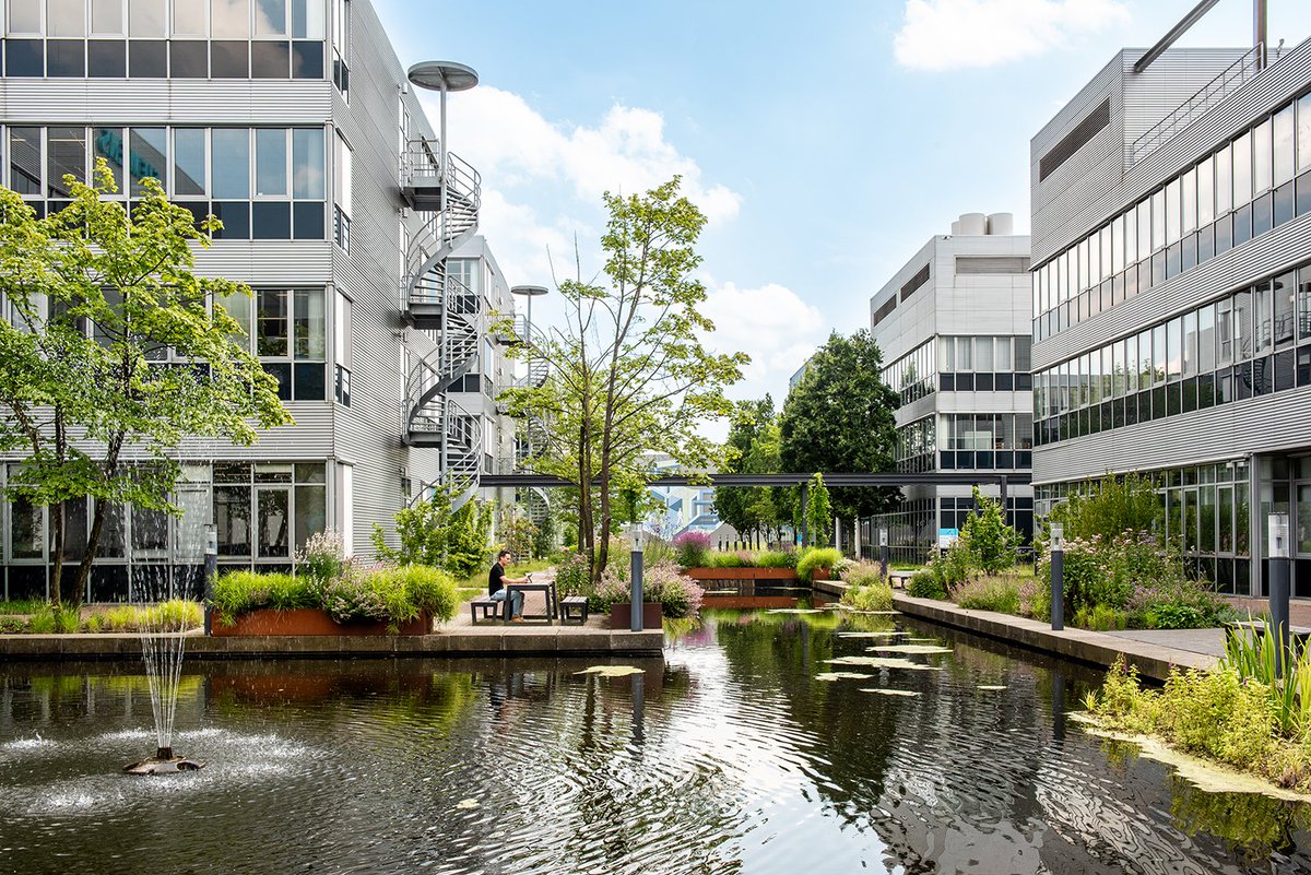 PingProperties tweet media