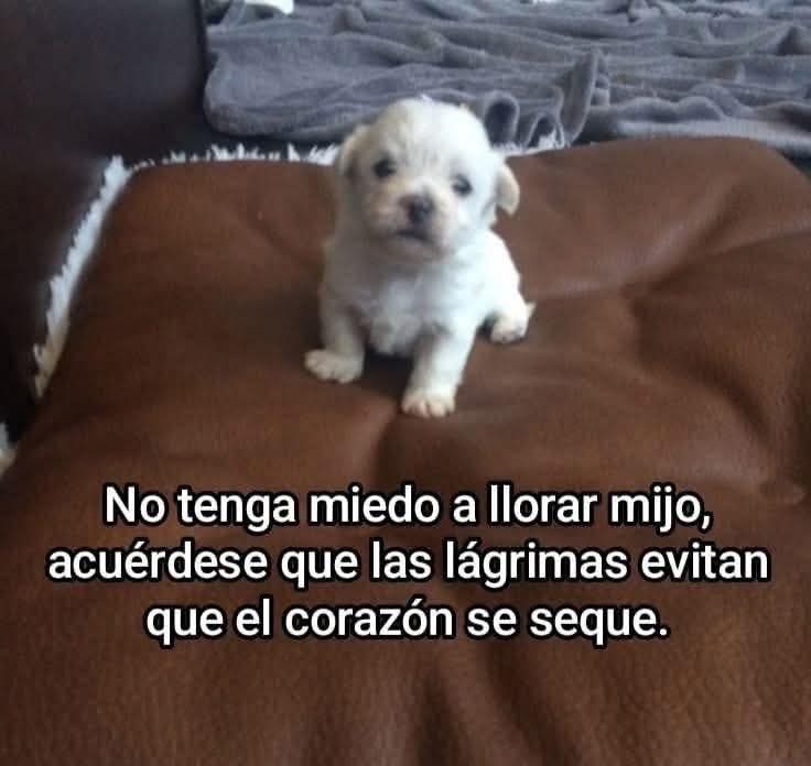 suspirxsalaire's tweet photo. https://t.co/7CHxtRYYB3