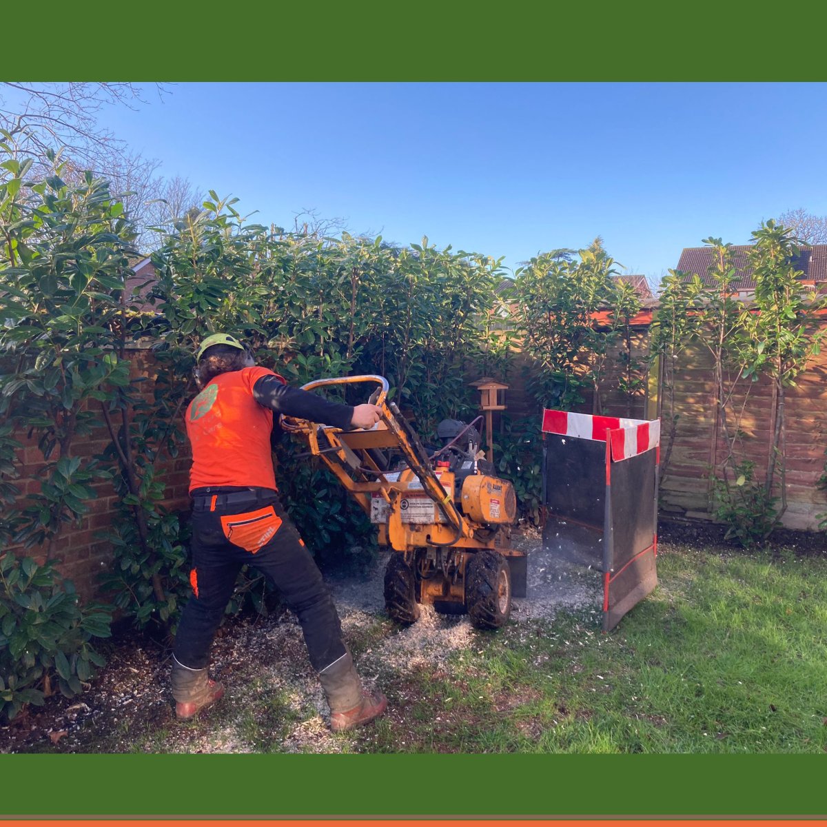 Dave Ford Tree Care tweet media