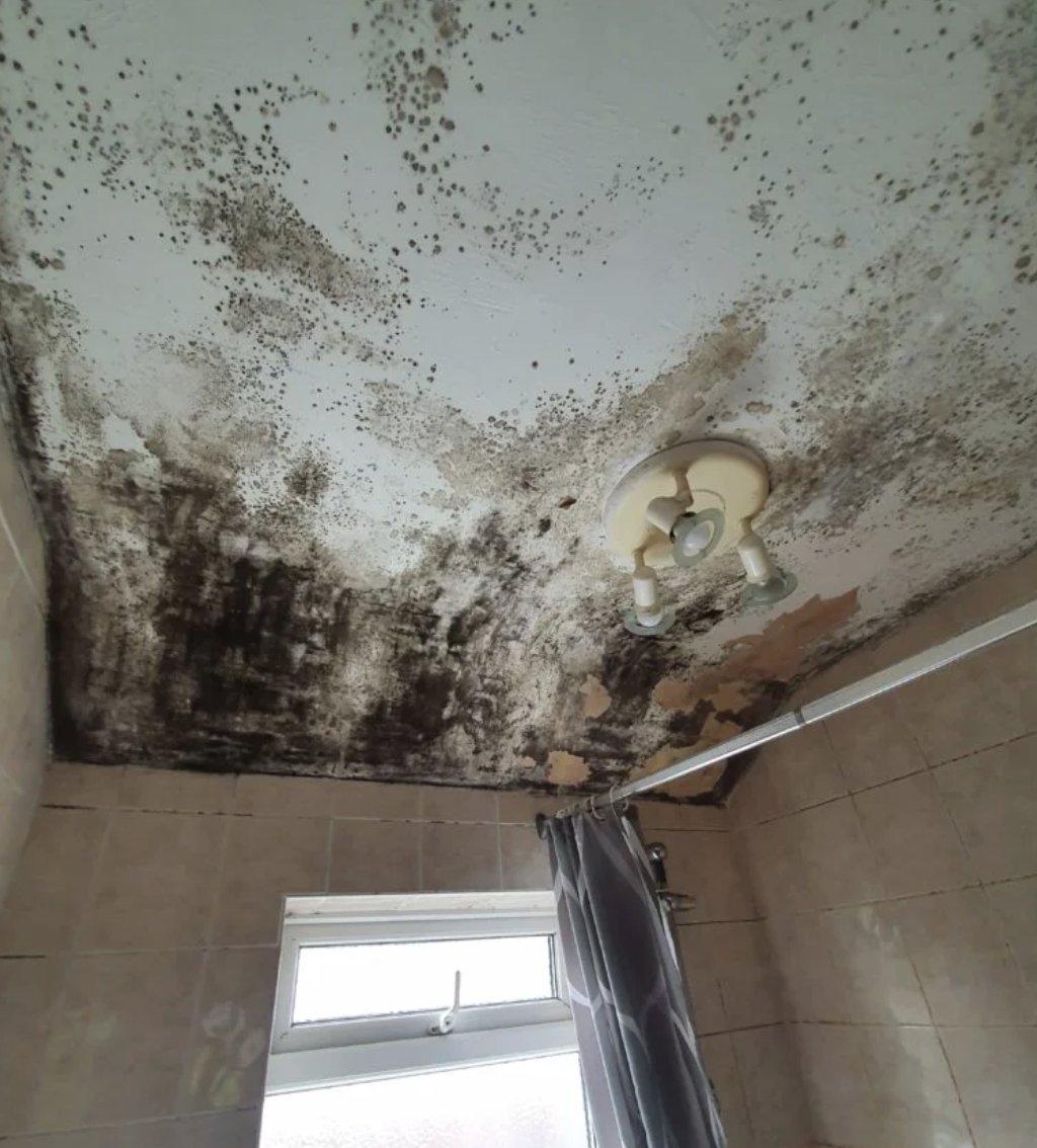 RTC - Remedial Treatment Consultants tweet media