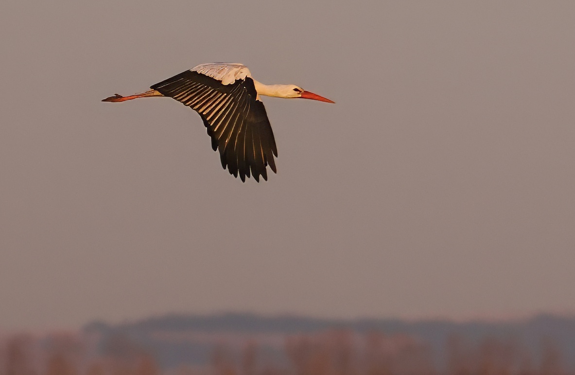 Neill Hunt tweet media