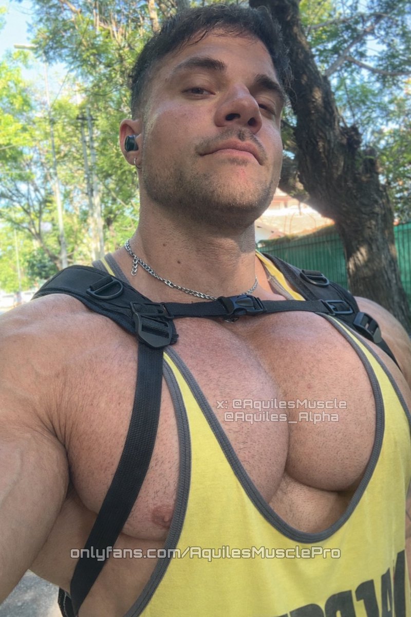 AquilesMuscle Pro 🦍 tweet media