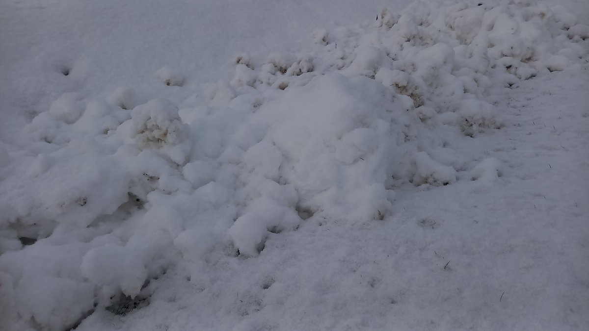 Vanwege de sneeuw, vorst, gladheid én code geel voor de komende dagen is ons sportpark tot nader order gesloten. Gymzalen zijn gereserveerd voor trainingen.

Meer info @ vvseh.nl/sportpark-tot-…

Doe voorzichtig in de tussentijd!

#codegeel #sneeuw #afgelasting #wijzijnseh