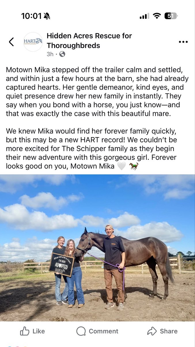 Karen Bush tweet media